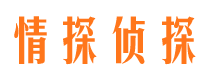 盐边外遇出轨调查取证